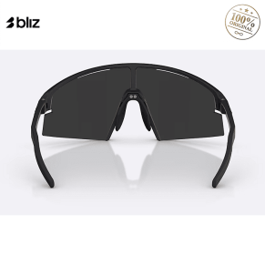 Очки BLIZ P006 Matte Black Smoke